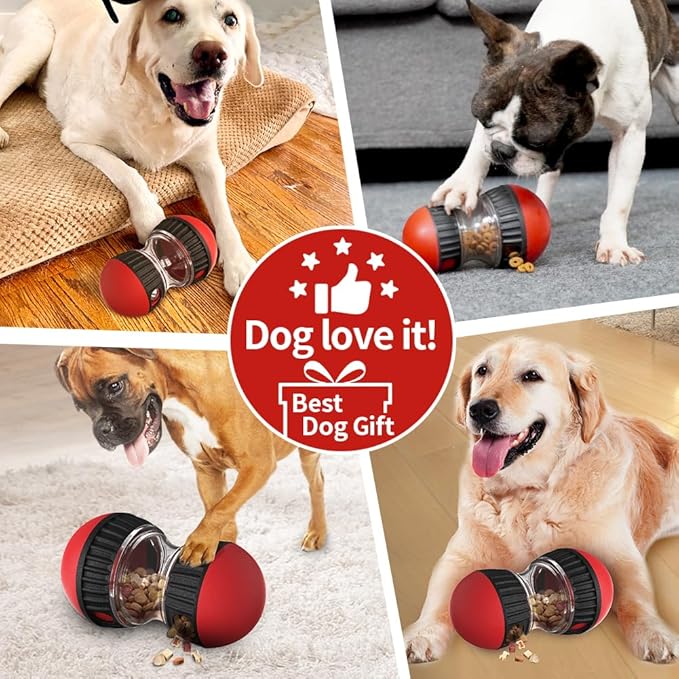 Top Gifts for Dog: Find the Perfect Present for Your Dog