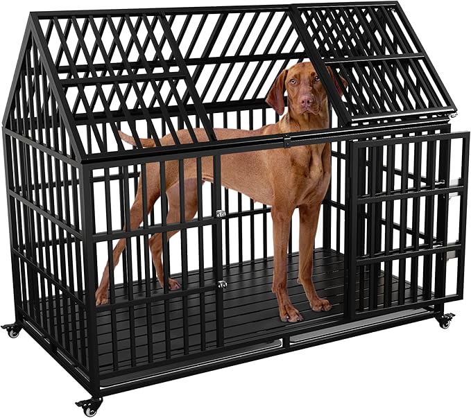 Best XXL Dog Crates for Extra-Large Breeds