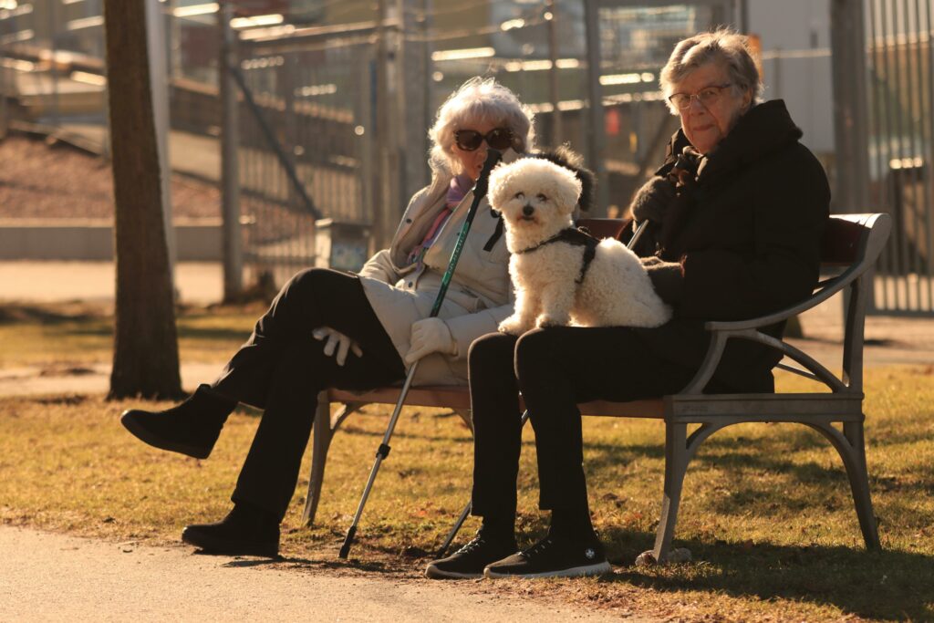 Bichon Frise Dog with seniors